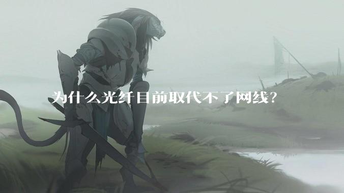 为什么光纤目前取代不了网线？